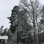Tammikko *