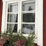 Tammikko فيلة *
