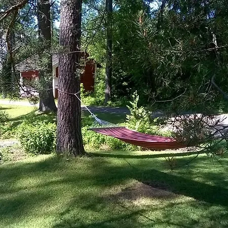 Tammikko *
